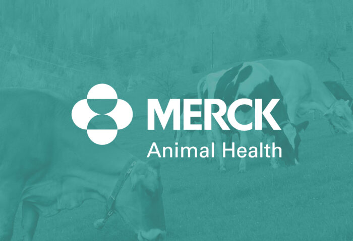 Merck Animal Health - Headscape