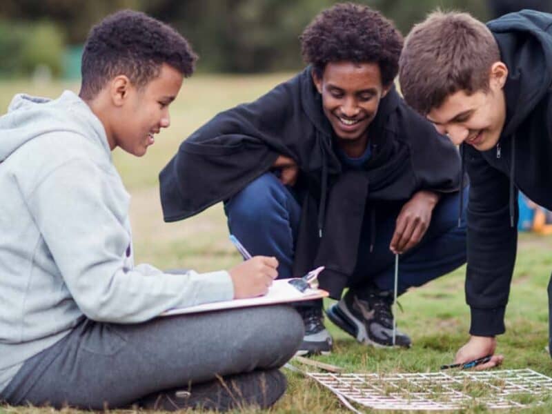 students working on an outdoor project