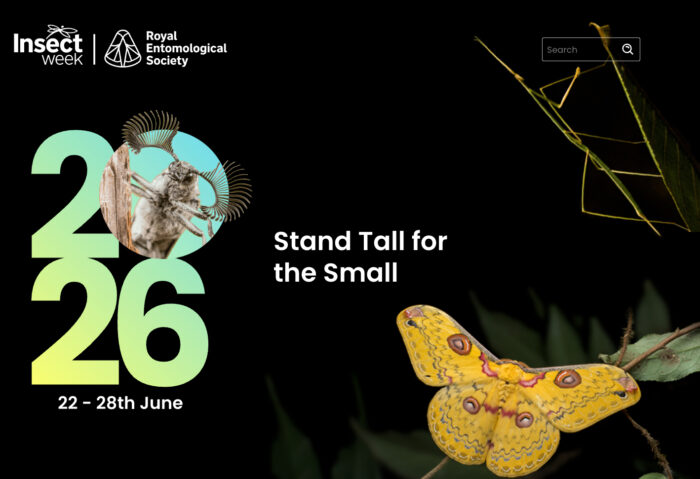 Screenshot from the Insect Week website showing images of three insects on a black background